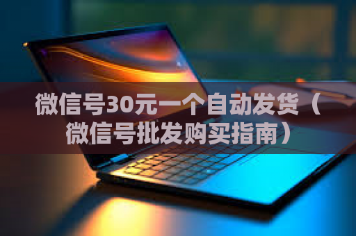 微信号30元一个自动发货（微信号批发购买指南）