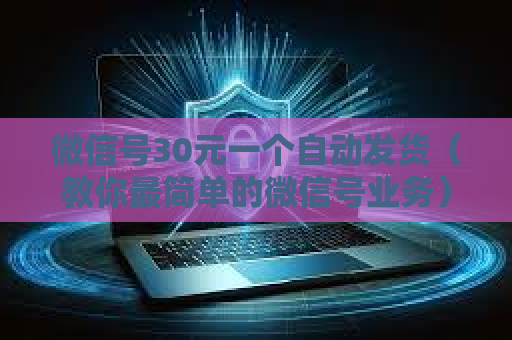 微信号30元一个自动发货（教你最简单的微信号业务）