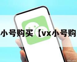 国内vx小号购买【vx小号购买网站】