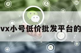 包含vx小号低价批发平台的词条