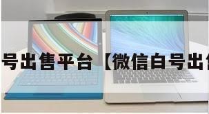 vx实名号出售平台【微信白号出售平台】