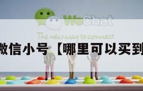 去哪能买微信小号【哪里可以买到微信小号】