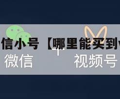 去哪能买微信小号【哪里能买到vx小号微信小号购买】